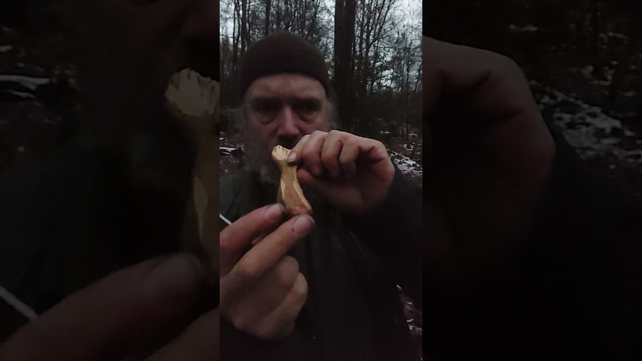 #Review of the #Manly #knives #Peak #Outdoor #foldingknife 
