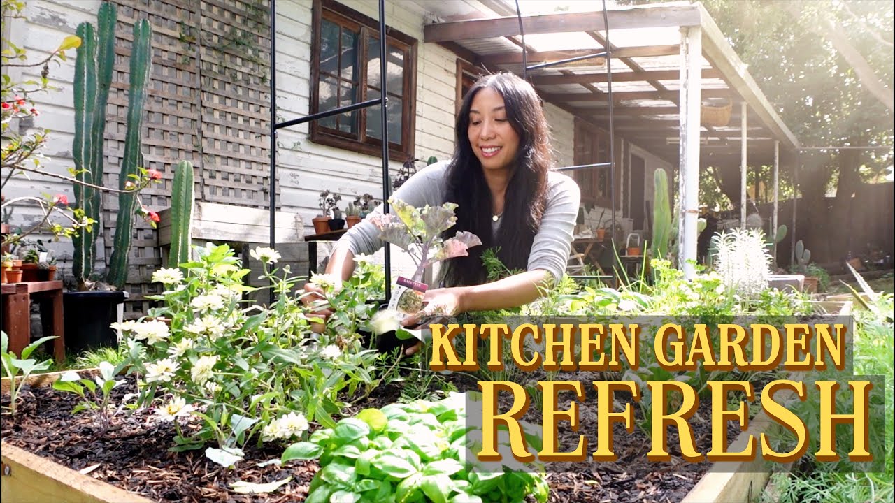 Resetting the kitchen garden for Autumn