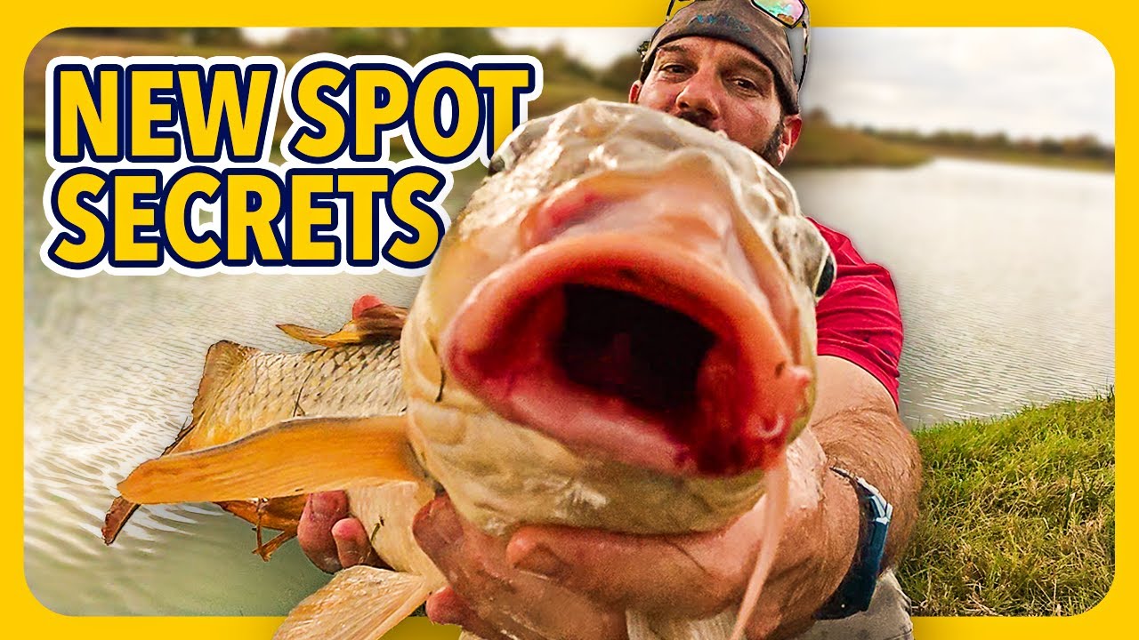 How to Catch Carp in NEW Lakes (Tips & Tricks)