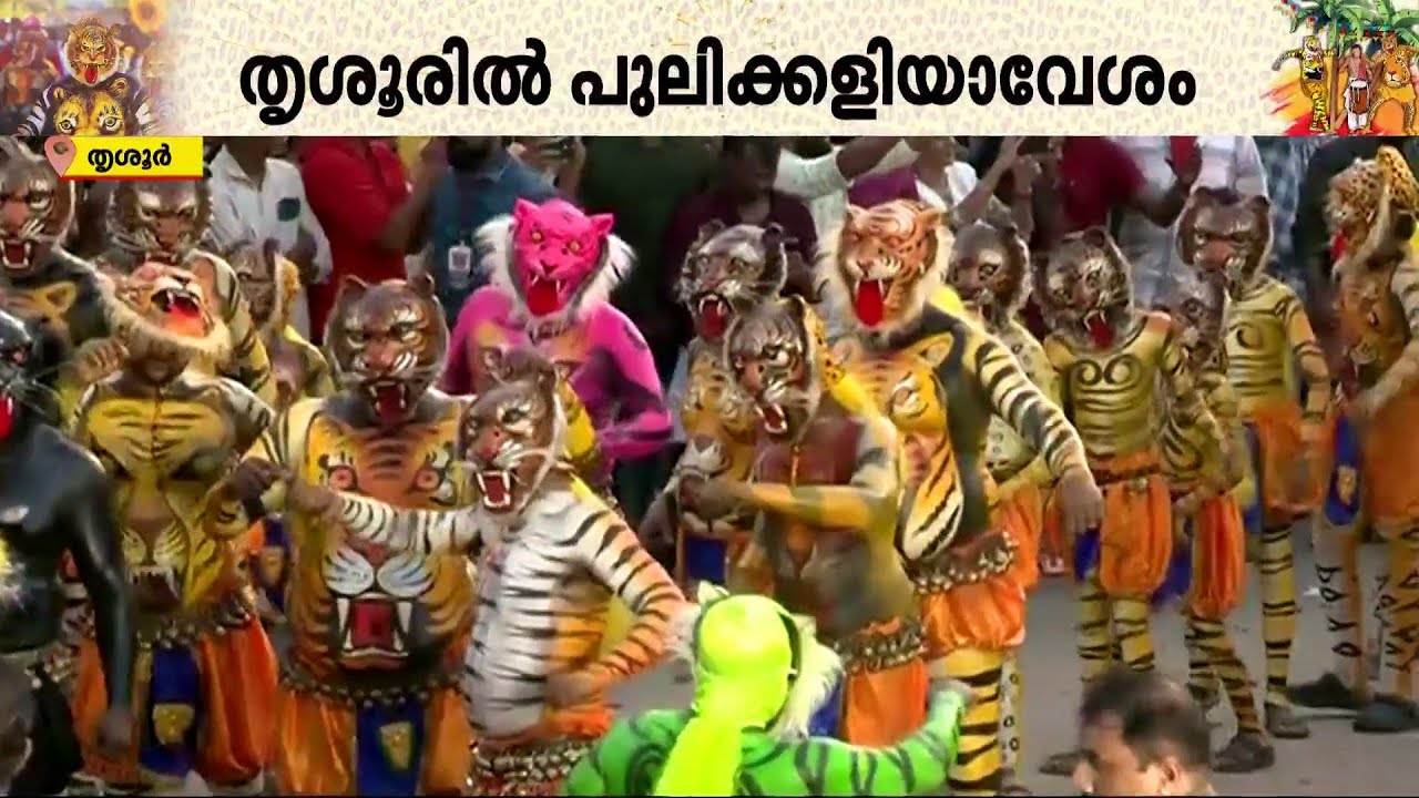 ഇതാണ് പുലിക്കളി..! പച്ചപ്പുലി, മഞ്ഞപ്പുലി, കറുപ്പ് പുലി...പുലികൾ പലവിധം | Pulikali 2024 | Thrissur