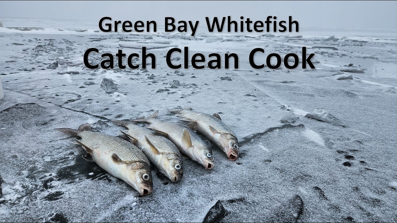 Catch Clean Cook with Green Bay Whitefish! 1-8-25