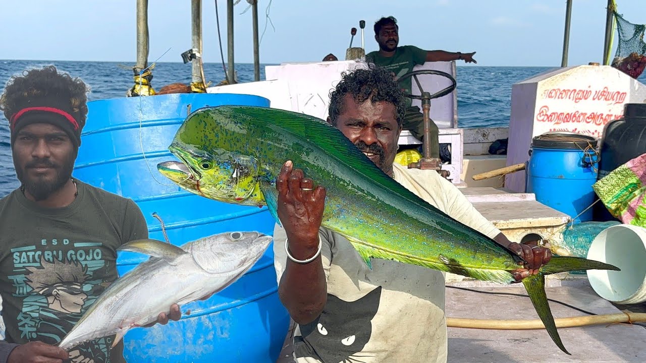 First Day Fantastic Day 🤩 We Caught Huge Size Tune Fishes in Deep Sea Fishing