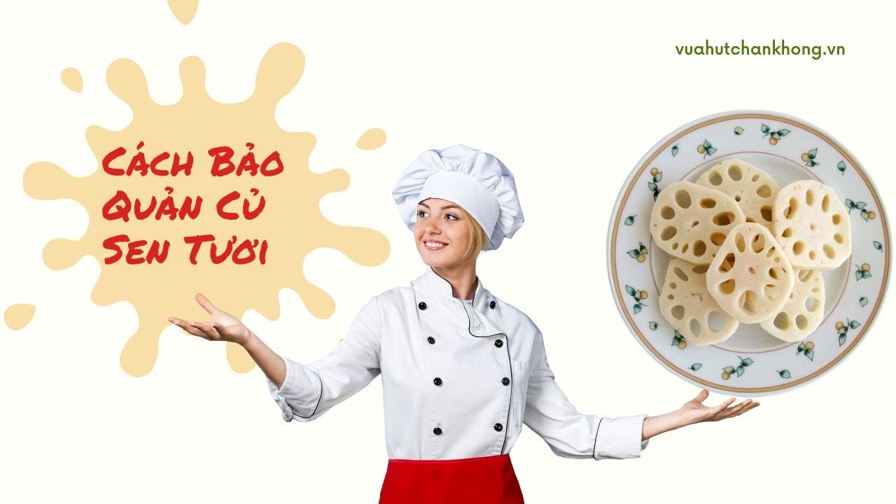 Cách Bảo Quản Củ Sen Tươi Hiệu Quả Nhất Hiện Nay #vuahutchankhong #cusentuoi