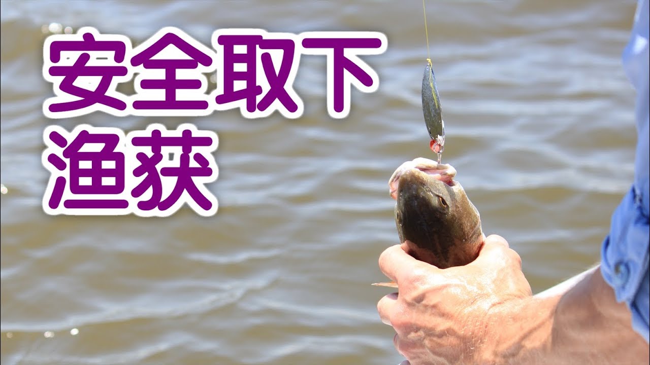 钓鱼时如何安全取下渔获？|钓鱼技巧教学Fishing Tutorial：Unhook Fish