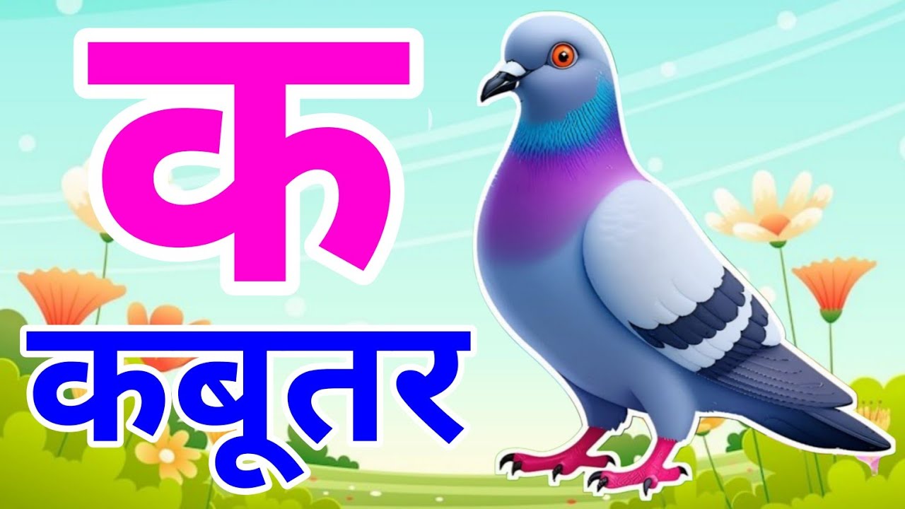 क से कबूतर - अ से अनार a se anar k se kabutar | Hindi varnmala ABCD क से कबूतर | अ से अनार, For Kids