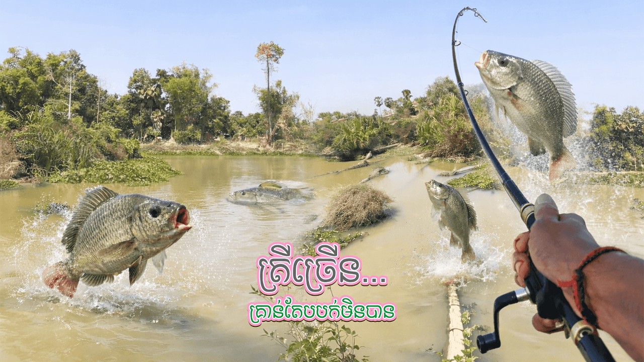 Village Fishing 🌾🐟 Lots of Fish, No Luck Today || Video khmer vlog 0-15 || Vannin - Life