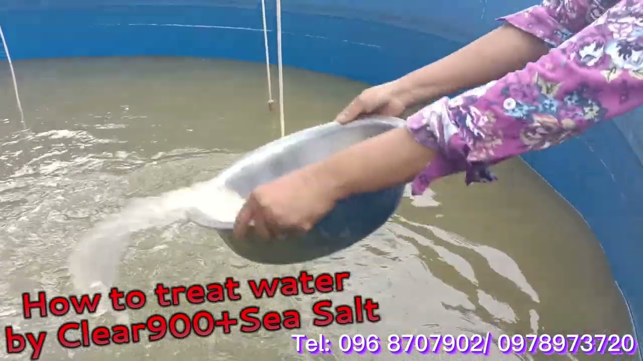 EP01 ការកែគុណភាពទឹក ដោយប្រើ Clear900 និង អំបិលក្រួស Tel: 096 8707902/ 0978973720