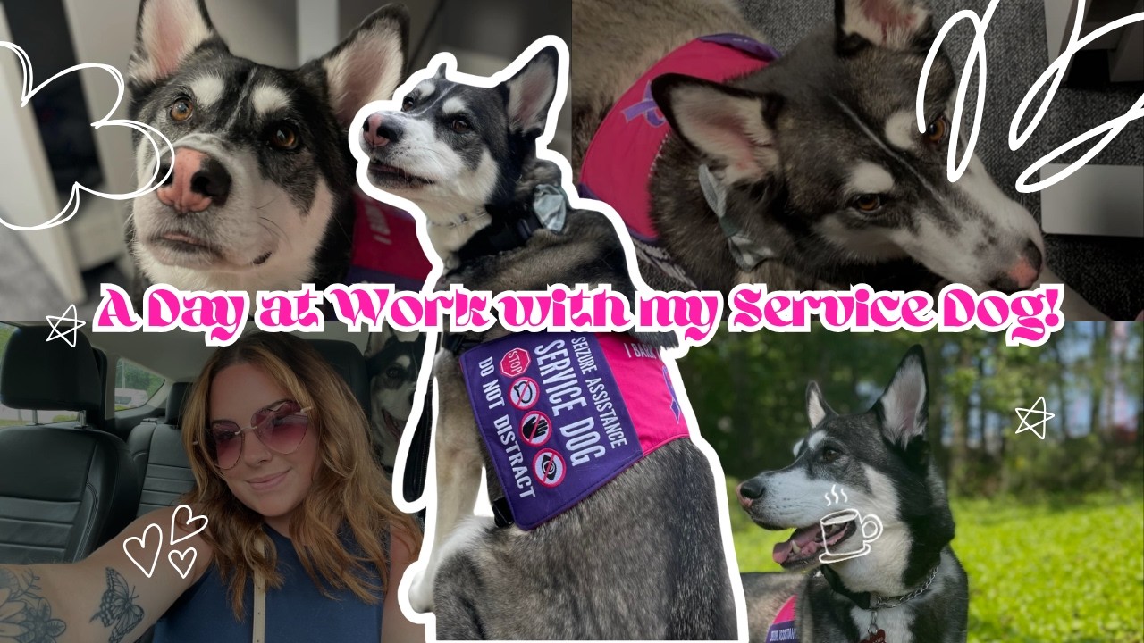 A day at work with my Service Dog! Work Vlog