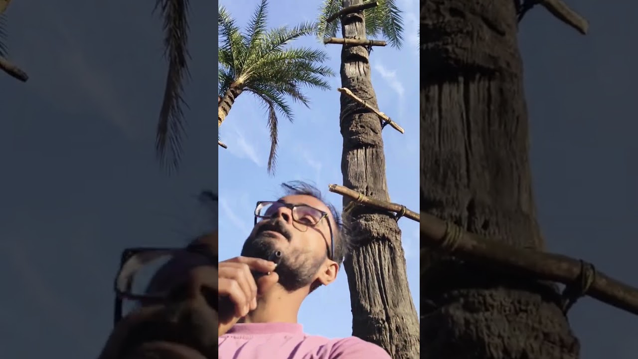 Khajur pair ka cutting ka kam Ras kaJanuary 14, 2026