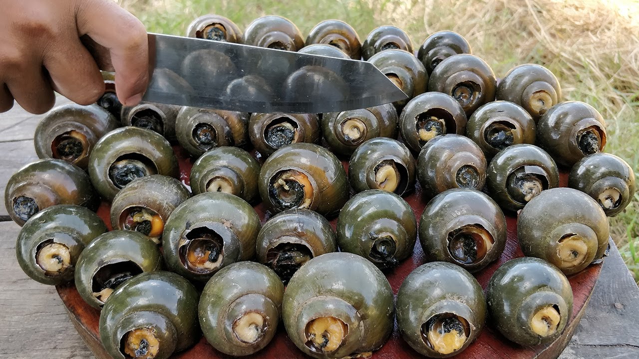 River Snail Soup | Cooking Snail with Mushroom & Onion
