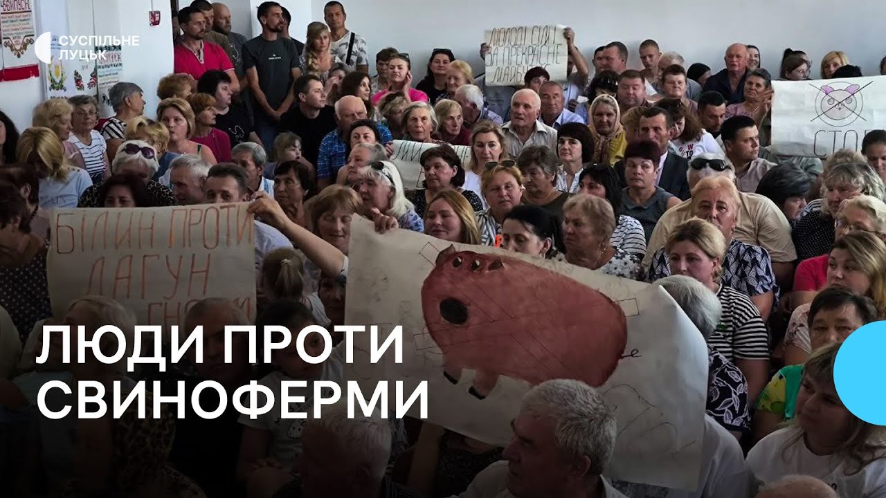 У селі на Волині мешканці проти будівництва нової свиноферми. Що вирішив інвестор