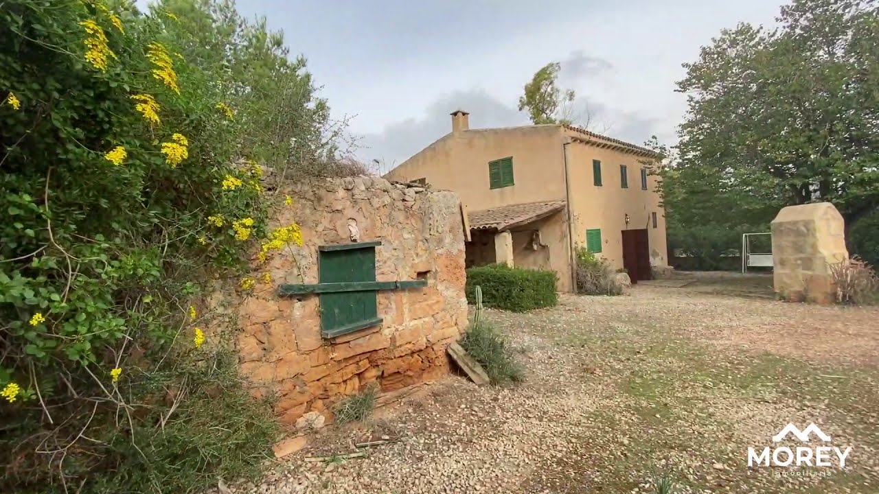 🟢 Finca rústica a la venta en Manacor | Mallorca Real estate