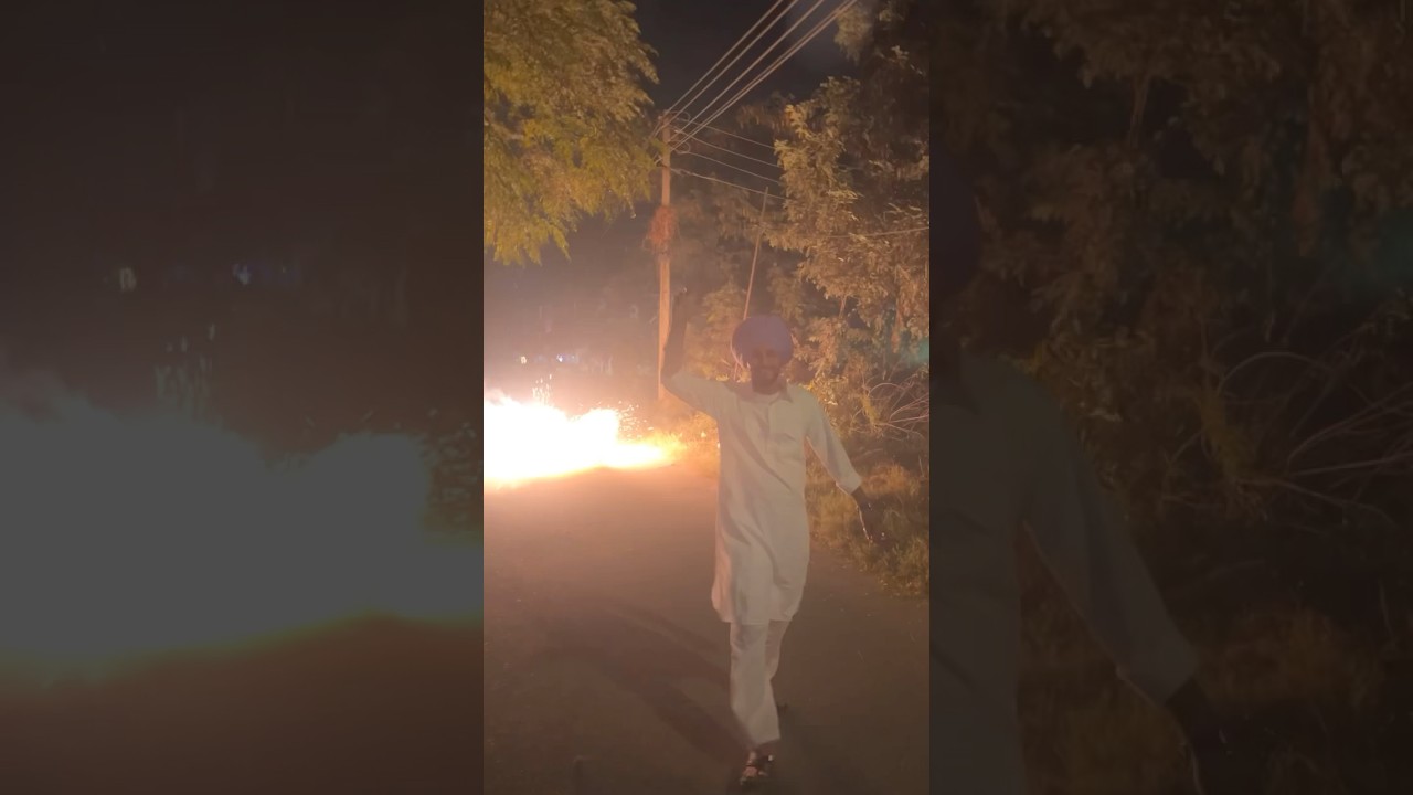 Elephant bomb 💣 🫨 || #elephant #elephantbomb #viral #diwali #diwalilover #2024diwali #crackers