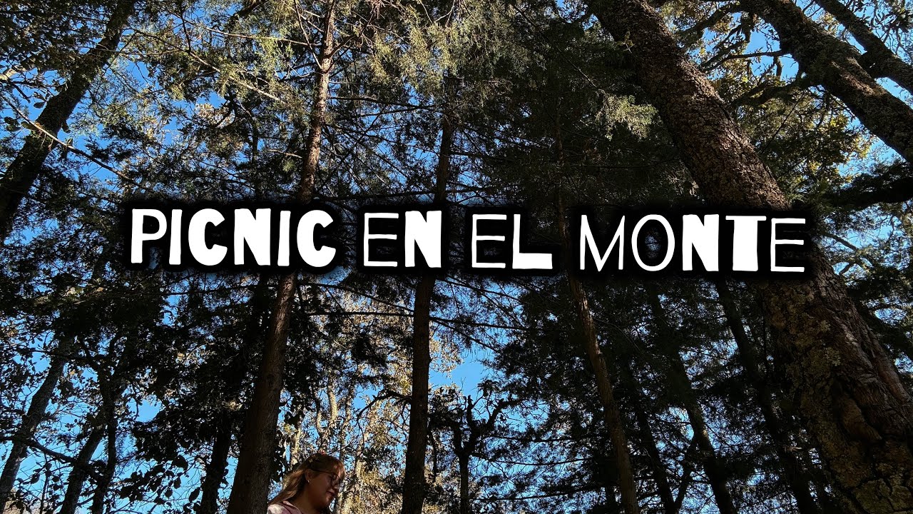 Un día de Picnic improvisado 