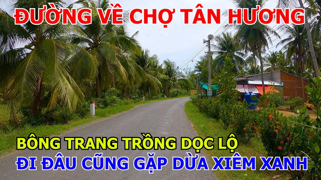 BẾN PHÀ PHÚ KHÁNH – CHỢ PHÚ LONG PHỤNG – CHỢ TÂN HƯƠNG | MỎ CÀY NAM – BẾN TRE 02-06-2024