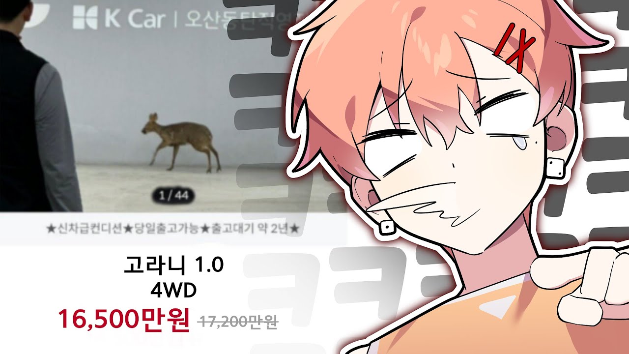 당장 구매하겠습니다