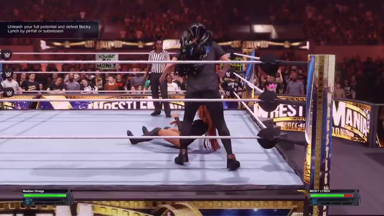 Wwe2k24