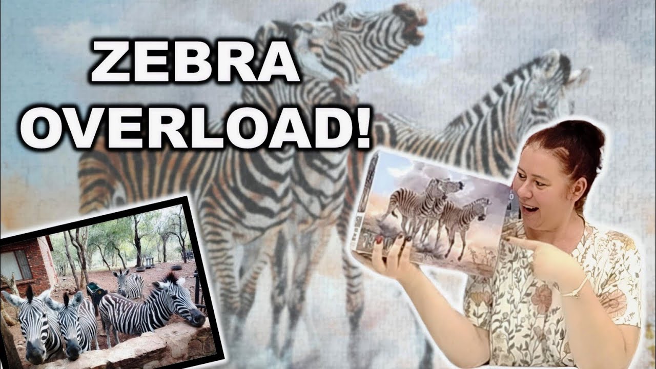 Puzzling Zebras Among Zebras!