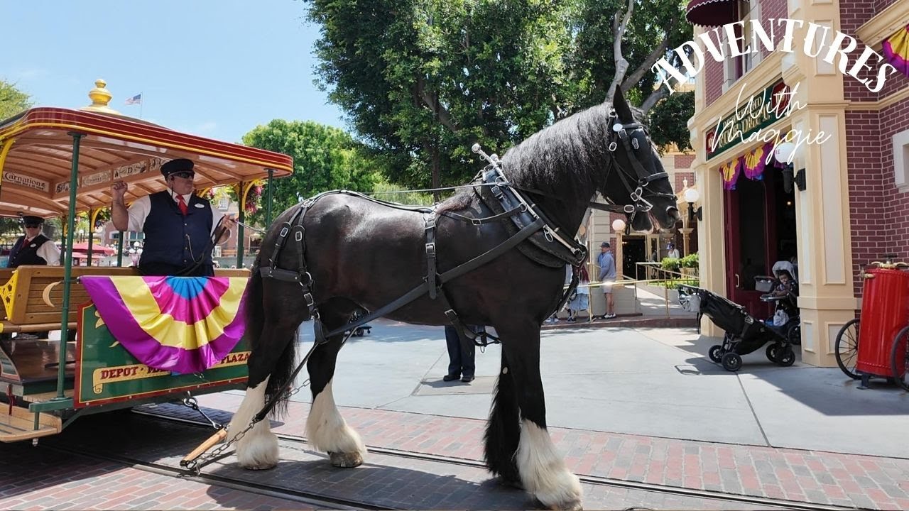 Beautiful Horse-Drawn Street Car Trolley End of Shift Before Parade in Disneyland POV Vlog #70