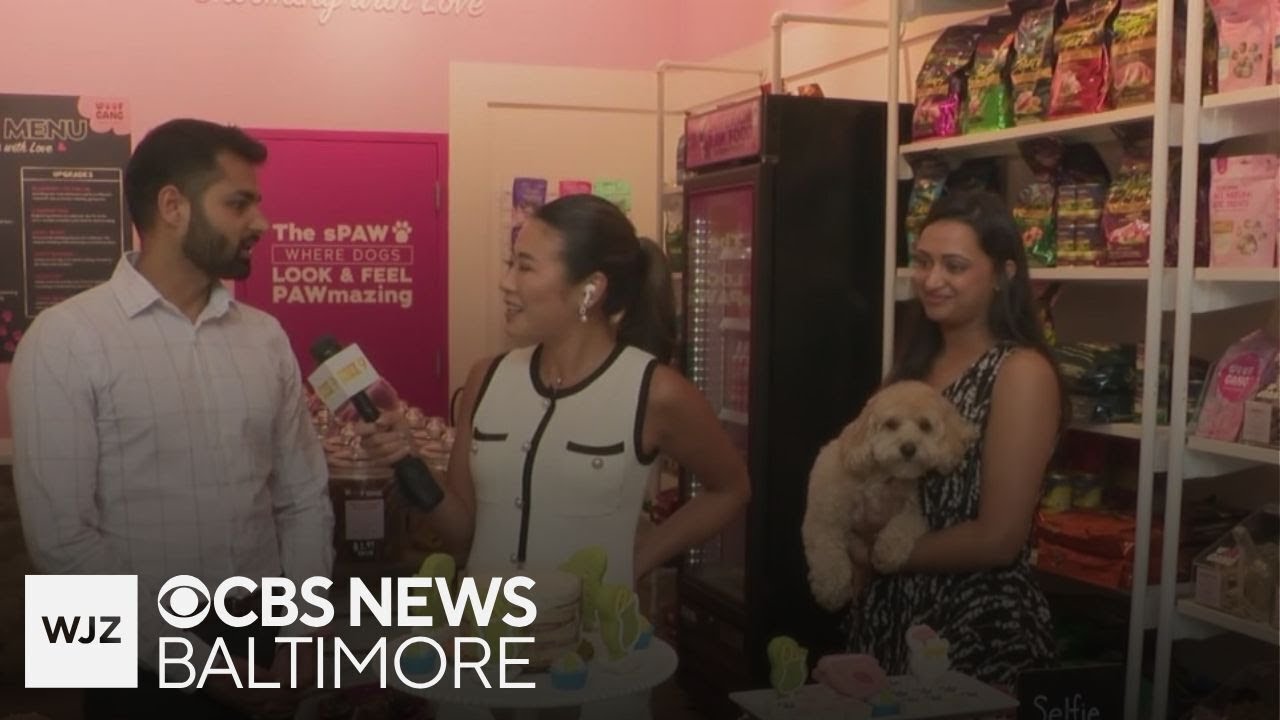 Around Town: Woof Gang Bakery and Grooming pampers pets in the Baltimore area