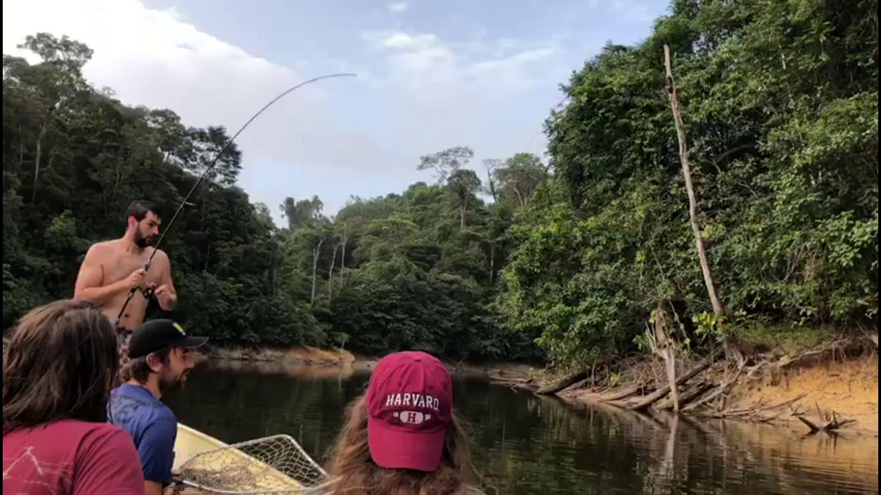 JLS Fishing Rods,Pêche Aïmara, Guyane française 973
