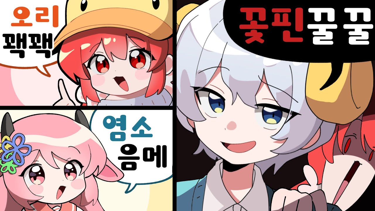 꽃돼핀지