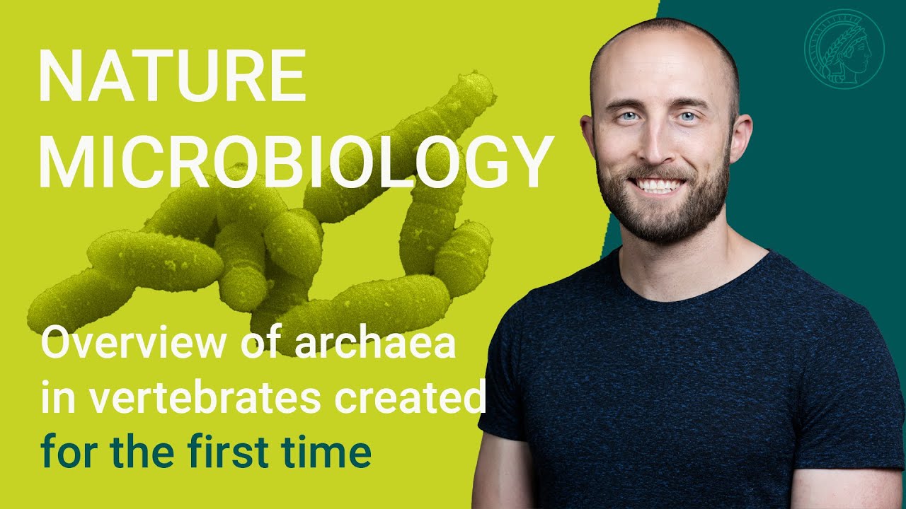 Researchers uncover how host relatedness influences the diversity of archaea in the vertebrate gut
