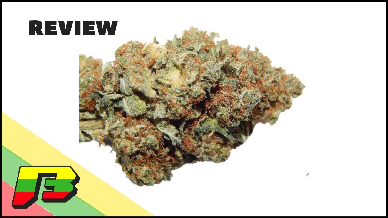 Deadhead OG Weed Review | BammerTV