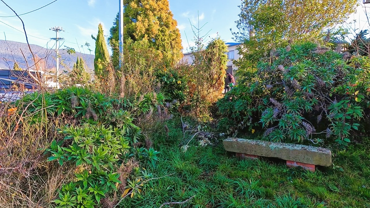 He was Sick & Tired of Looking at this OVERGROWN NIGHTMARE!
