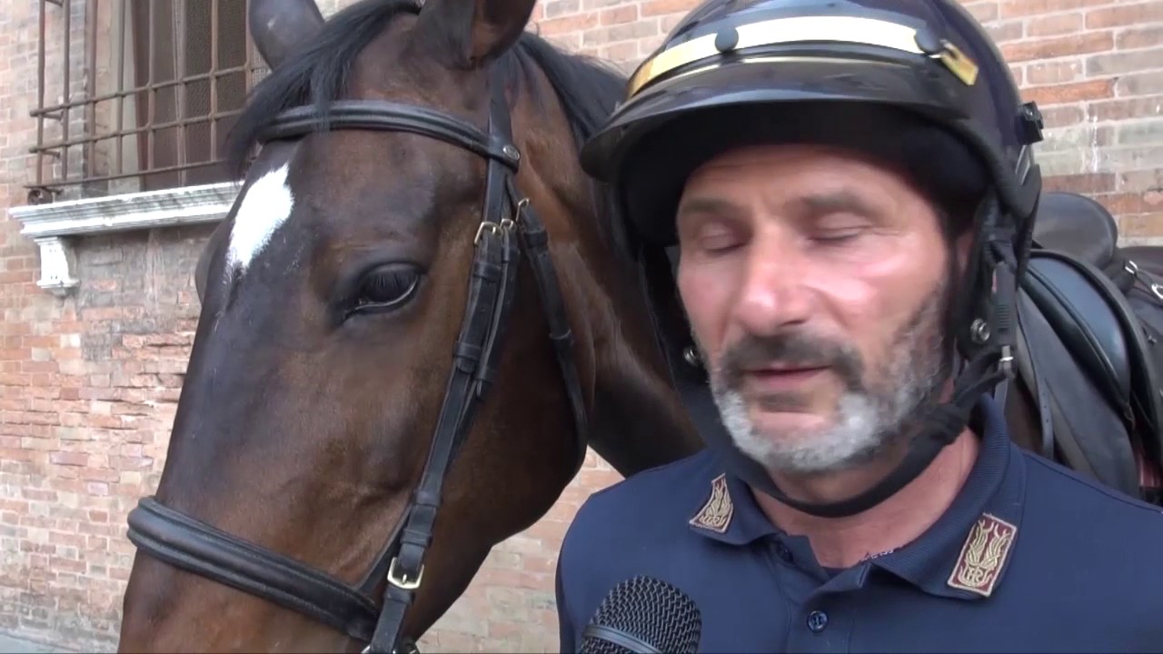 RAVENNA: Arriva la polizia a cavallo per vigilare sulla sicurezza | VIDEO