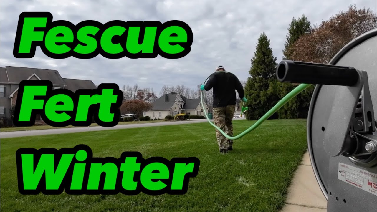 Winter Fertilizer For Turf Type Tall Fescue Using GCI Turf Cart Buddy