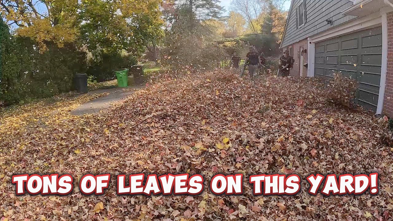 4 Man Fall Cleanup ll Tons Of Leaves On This Yard!