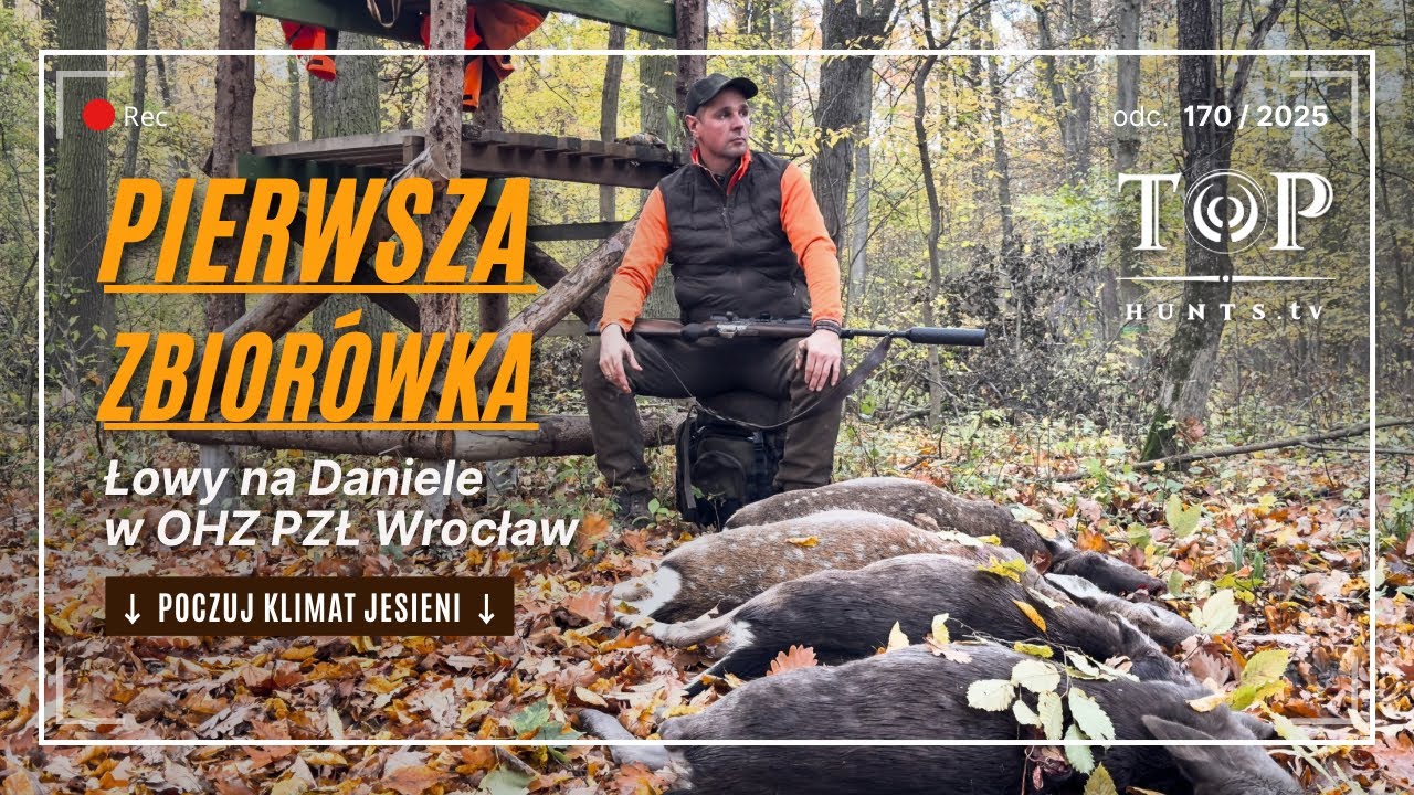 Polowanie na daniele i dziki! | Rozpoczynamy sezon polowań zbiorowych!