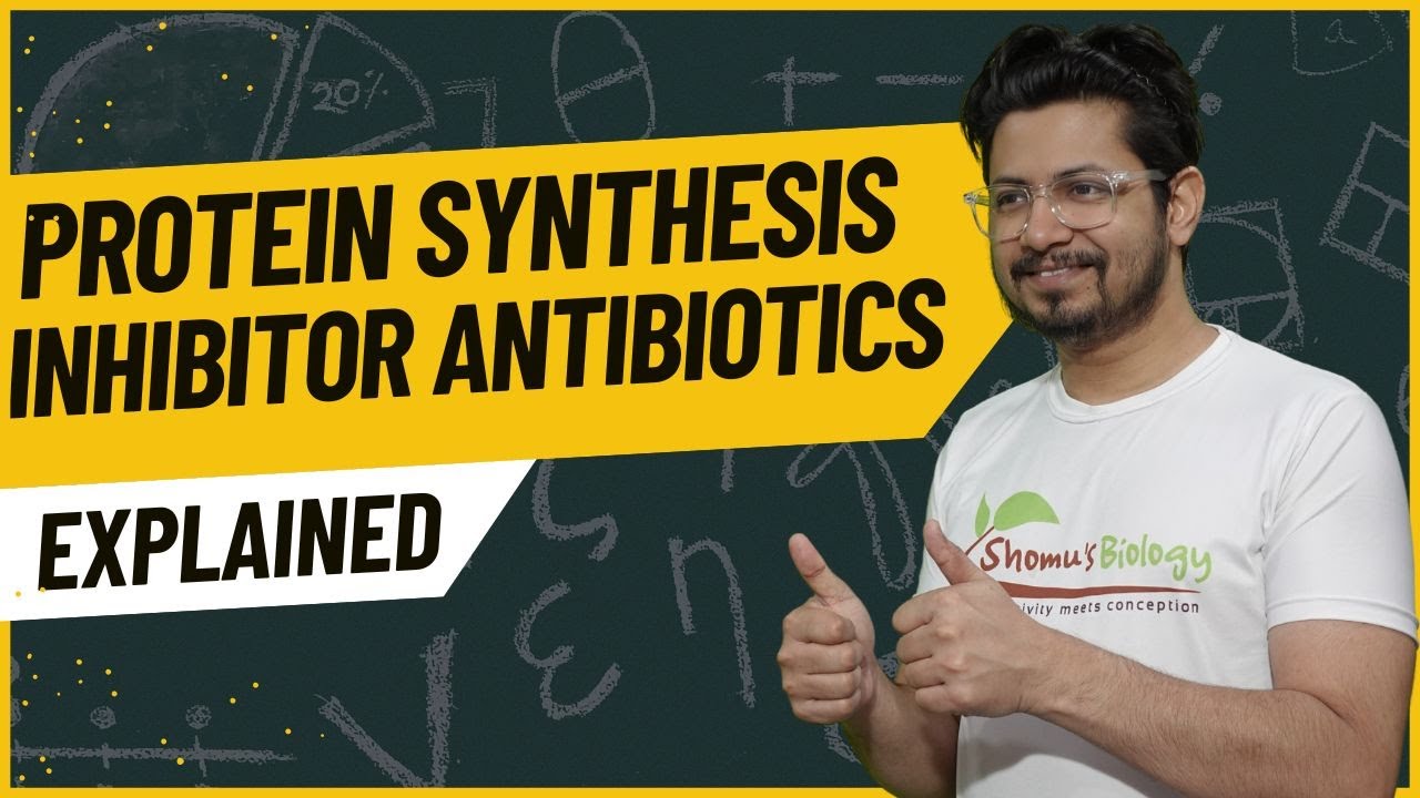 Protein synthesis inhibitors antibiotics | 50s inhibitors | 30s inhibitors antibiotics