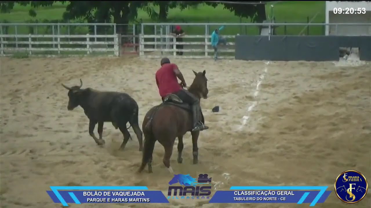 Vaquejada ao  Vivo  Bol&atilde;o de vaquejada PARQUE MARTINS