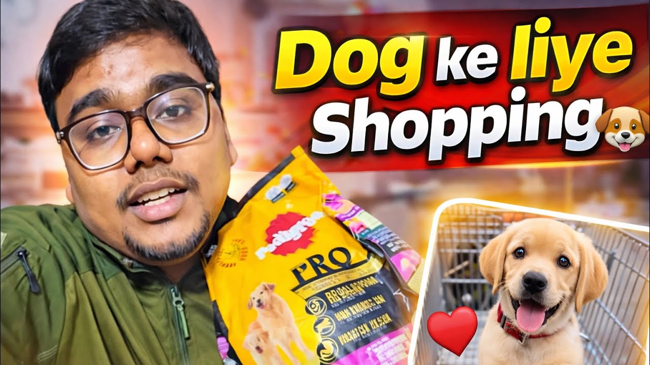 Day 34 - Pet Parent Ban Gaya 🐶 | Dog Shopping Vlog