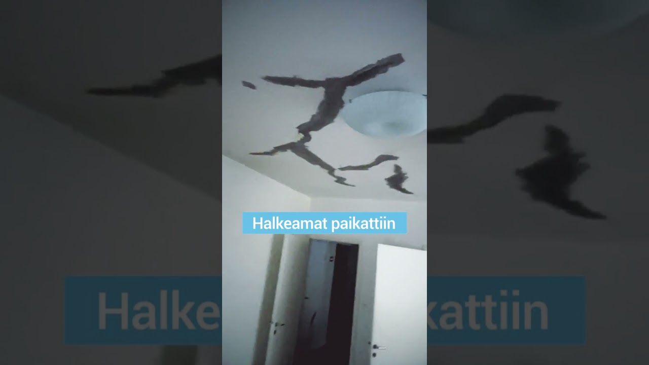 Katon Lohkeamien Korjaus/Maalaus #maalaus #kunnostus #korjaus