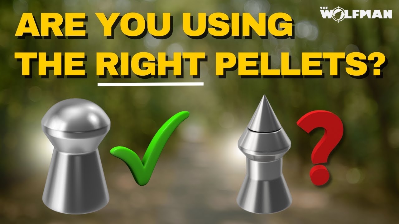 Are You Using the Right Pellets? (Everything You Need to Know)