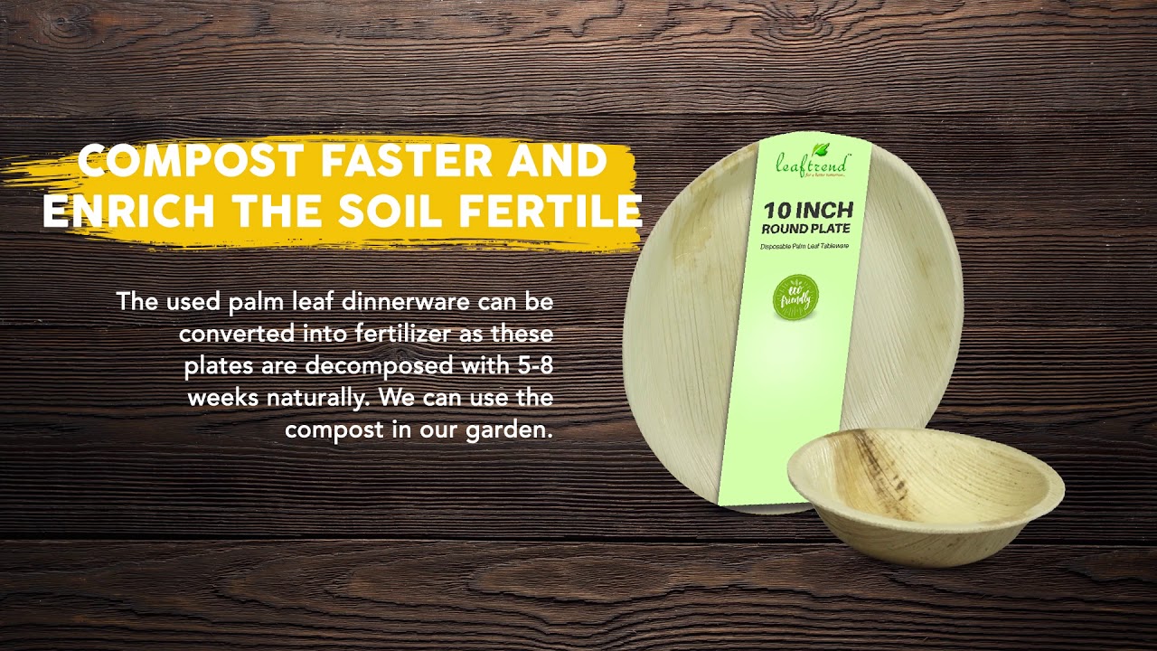 Top 5 reason why palm leaf dinnerware is the best among all!