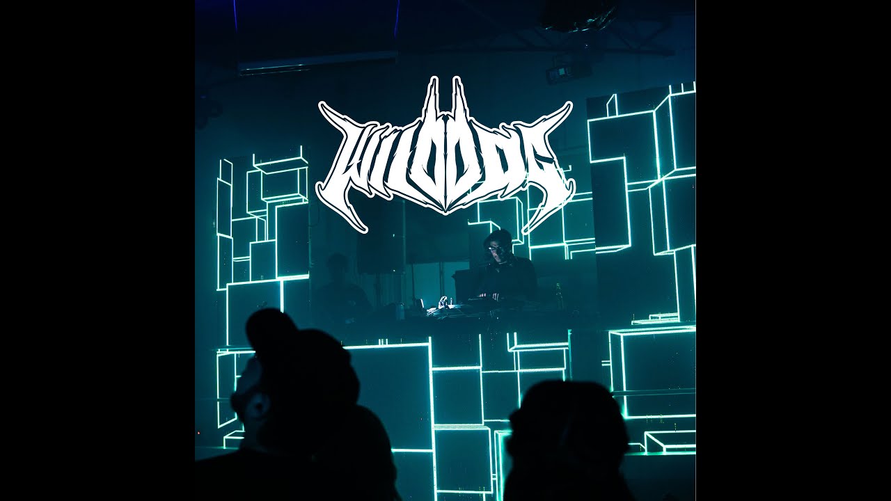 Wild Dog - This is not Rock N Roll (Original Mix)