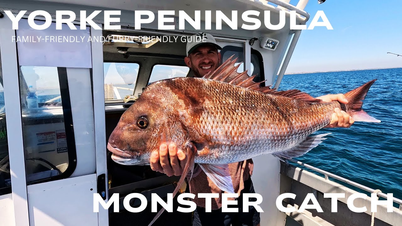 Yorke Peninsula Full Family & Dog-Friendly Guide: Monster Snapper, Innes National Park & Salt Lakes!