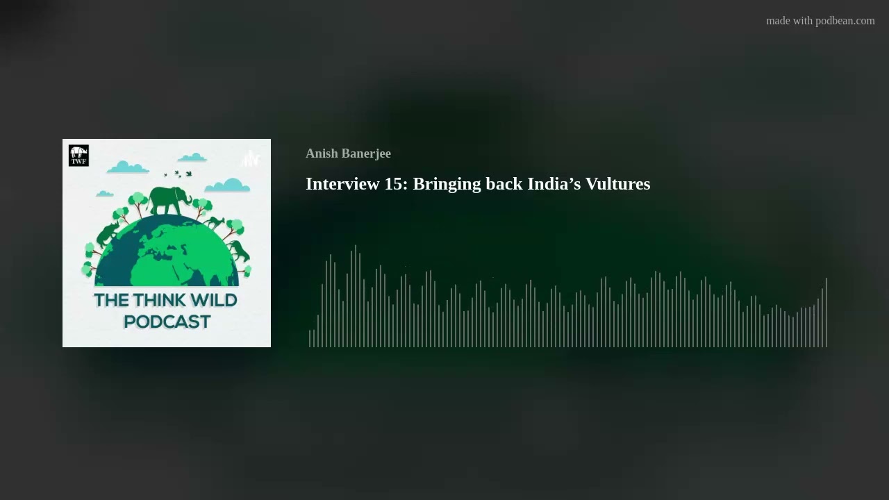Interview 15: Bringing back India&rsquo;s Vultures with Chris Bowden, RSPB