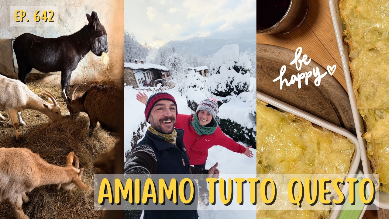 Vita semplice di montagna in inverno - Ep. 642