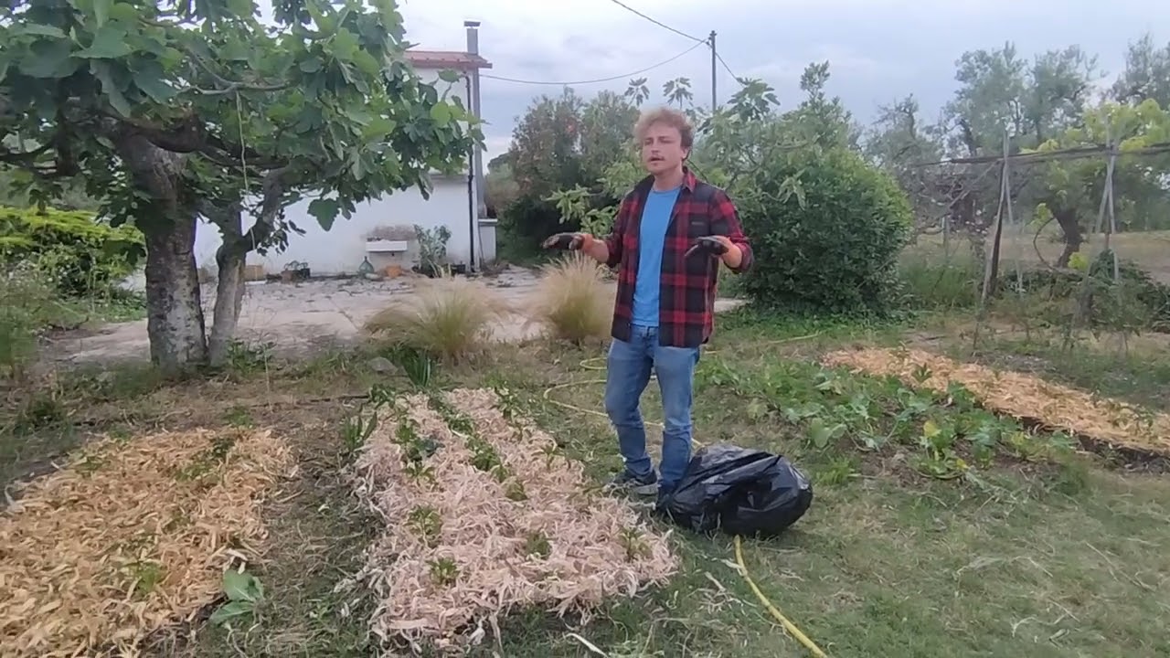 🌱 L'importanza della PACCIAMATURA nell'orto mediterraneo