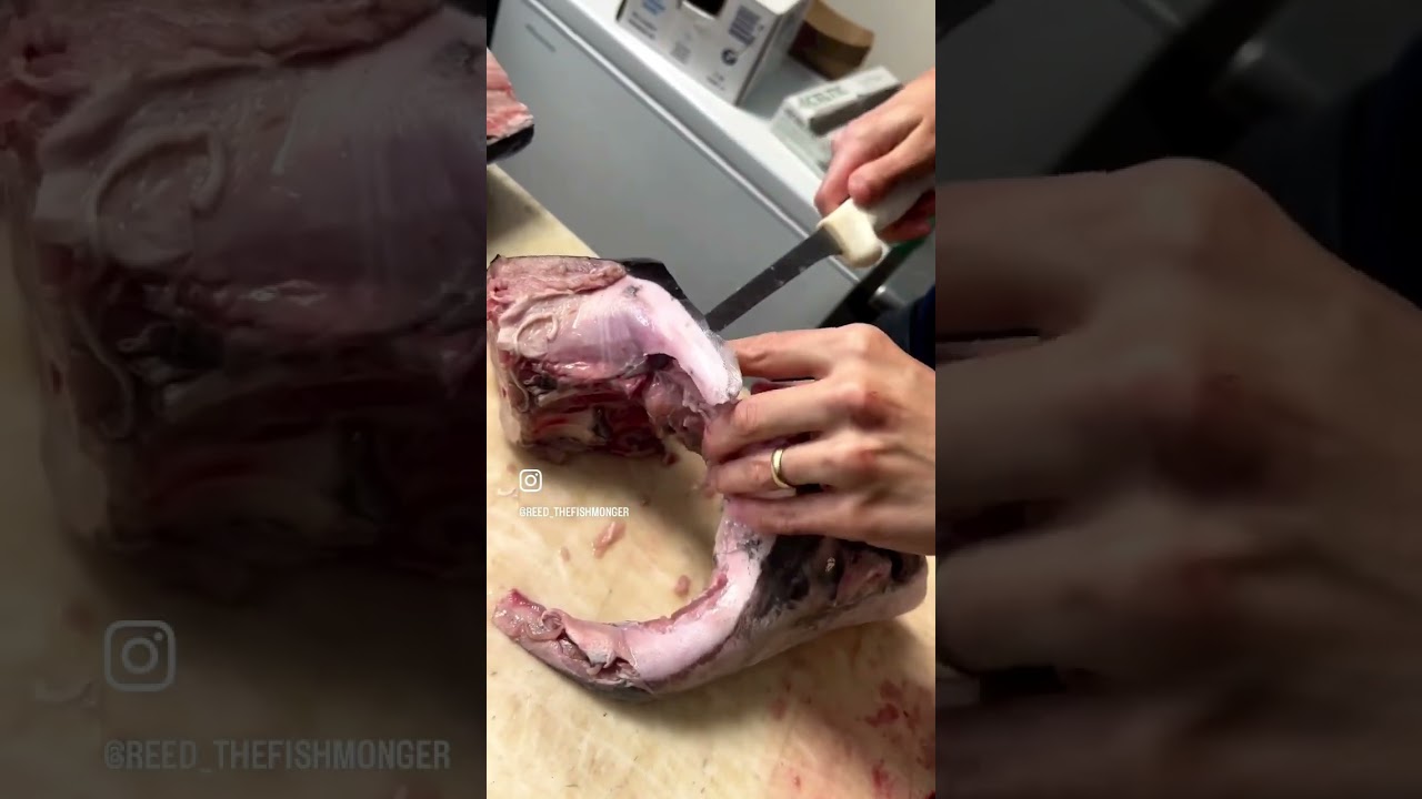 Have to ever cooked a Swordfish Tomahawk!? #swordfish #swordfishtomahawk #swordfishing