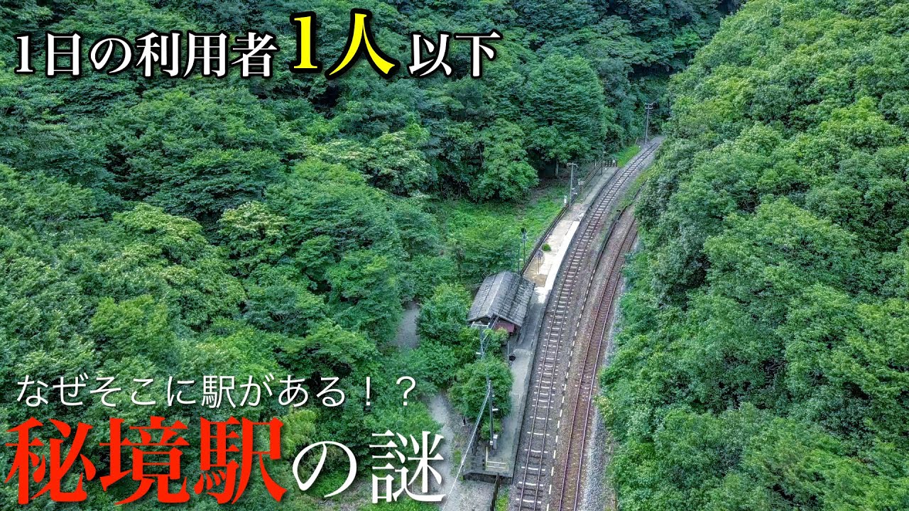 【脱出困難】徒歩でしか行けない秘境駅で止まった時間を巻き戻してきた。ノスタルジックで寂しい駅 / 徳島県の秘境「坪尻駅」（スイッチバック駅）