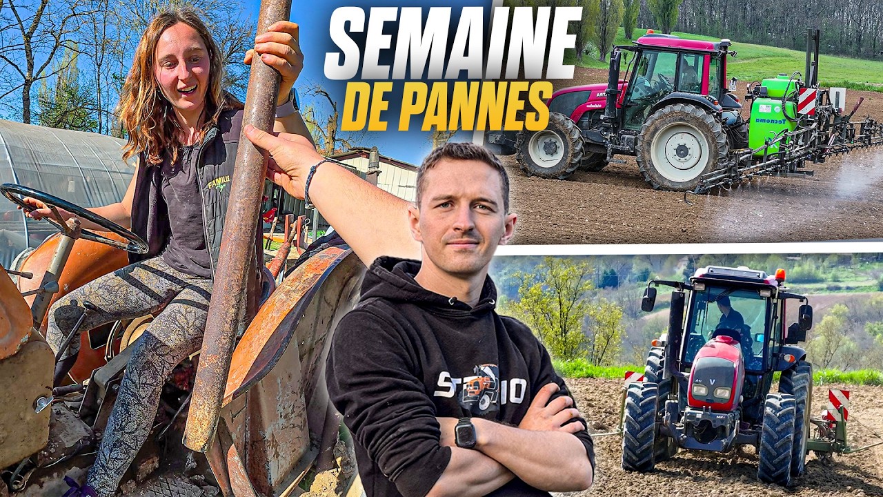 DES PANNES ET DU BOULOT ! Désherbage, semis sorgho