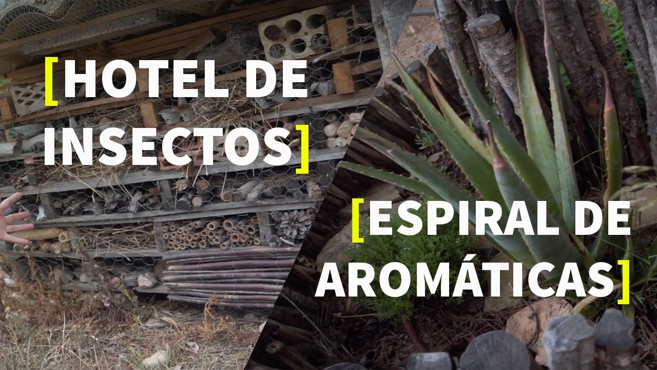 REFUGIO de insectos 🐝 y ESPIRAL de aromáticas 🌱  [PERMACULTURA]