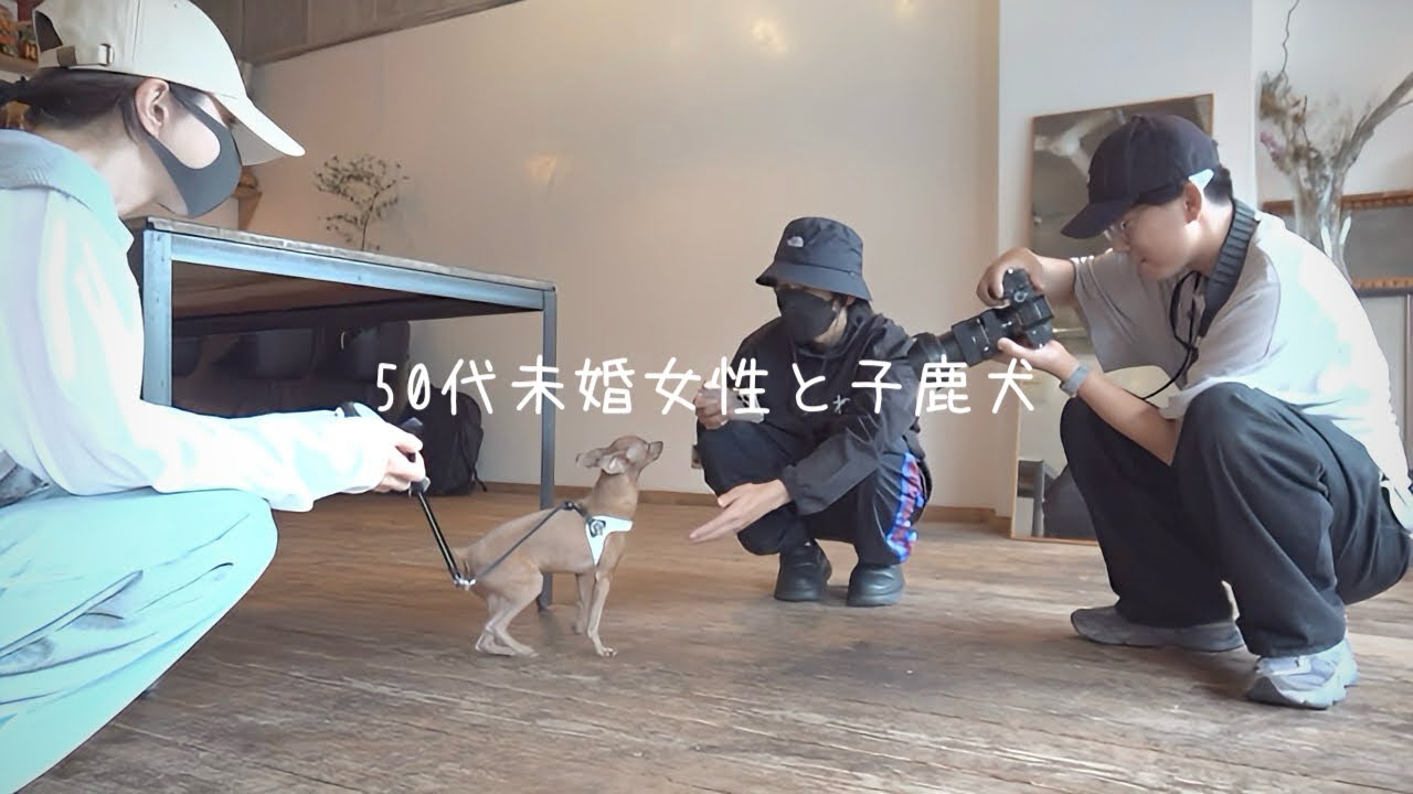 50代、未婚、子なし。見知らぬ人に懐かない息子をハラハラしながら見守る休日【ミニピン】