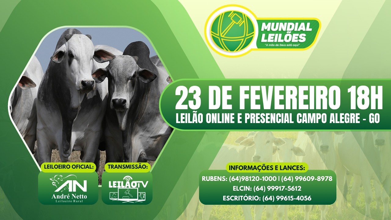 LEILÃO AO VIVO - MUNDIAL LEILÕES A MÃO DE DEUS ESTA AQUI - CAMPO ALEGRE DE GOIÁS - 23/02/2026